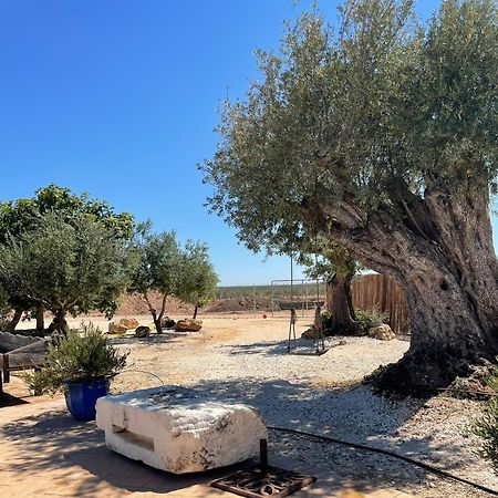 La Casa Del Olivo Villa Écija Eksteriør bilde