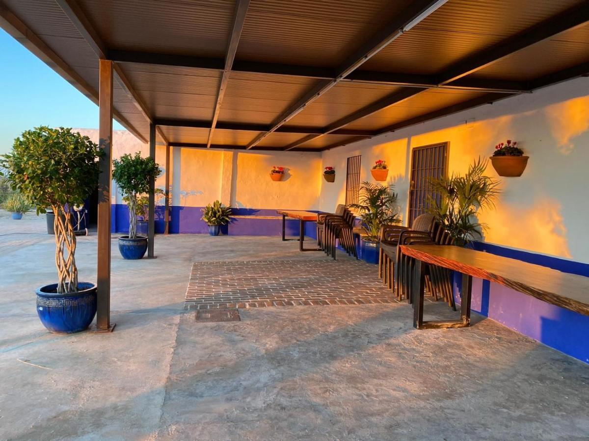 La Casa Del Olivo Villa Écija Eksteriør bilde